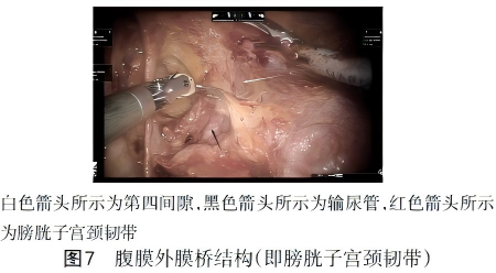 WPS图片(1)7(1).png